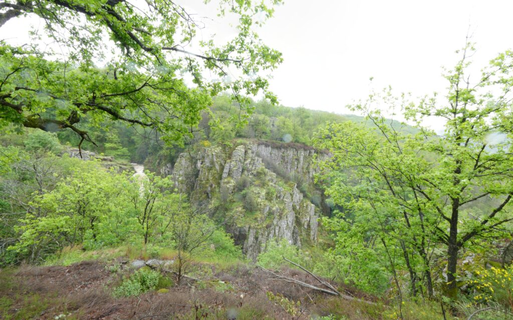 P1090096 P1090101 6 Images 1 1024x639