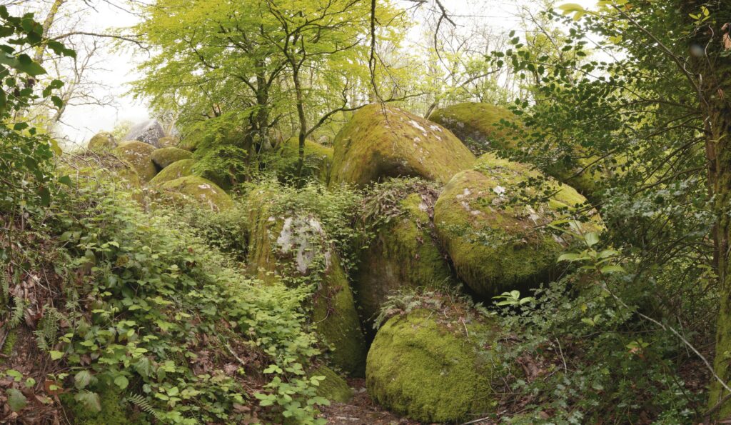 P1090141 P1090155 15 Images 1 1024x595