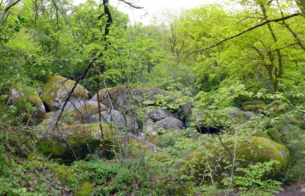 P1090159 P1090162 4 Images 1 1024x658