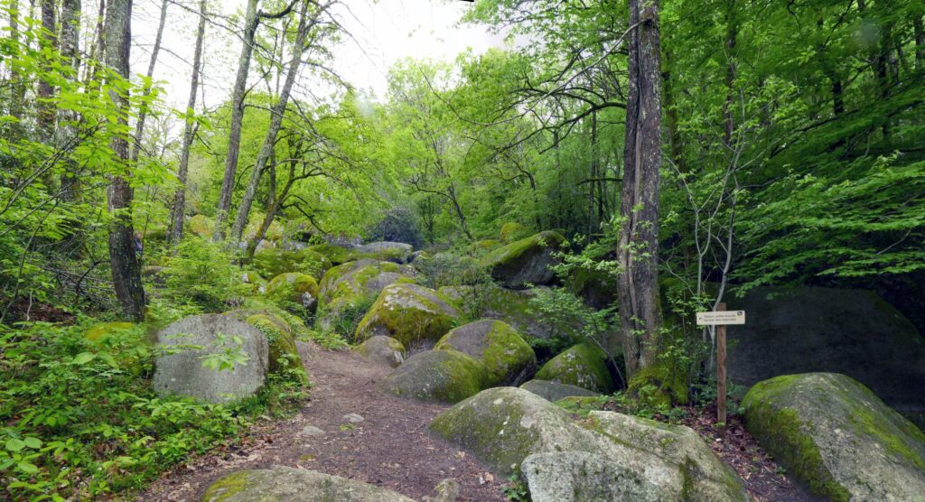 P1090164 P1090167 4 Images 1 1024x556