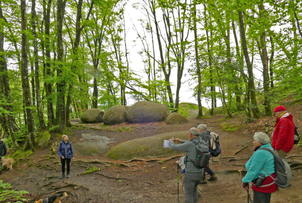 P1090174 P1090176 3 Images 1 1024x689