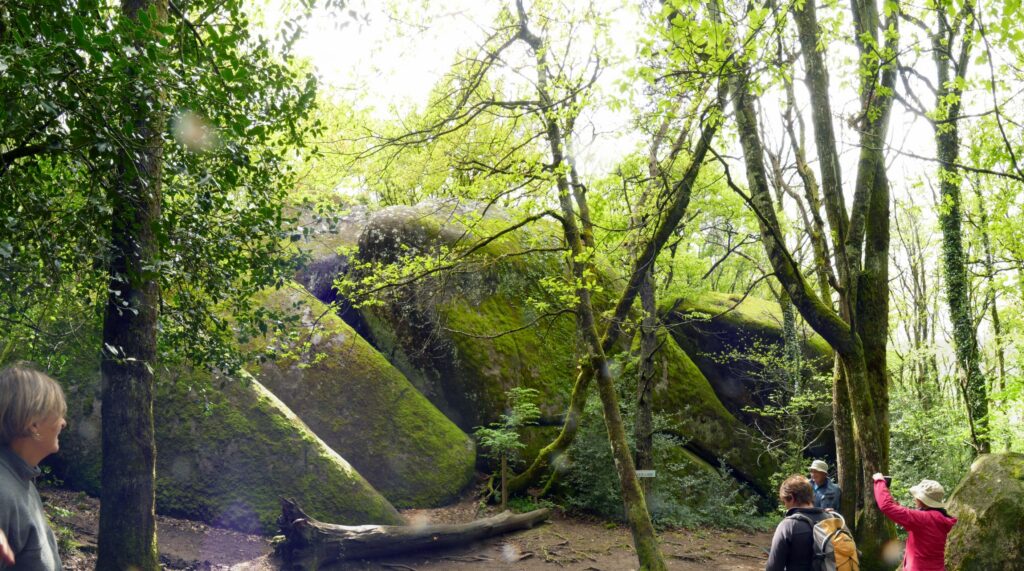 P1090183 P1090190 8 Images 1 1024x571