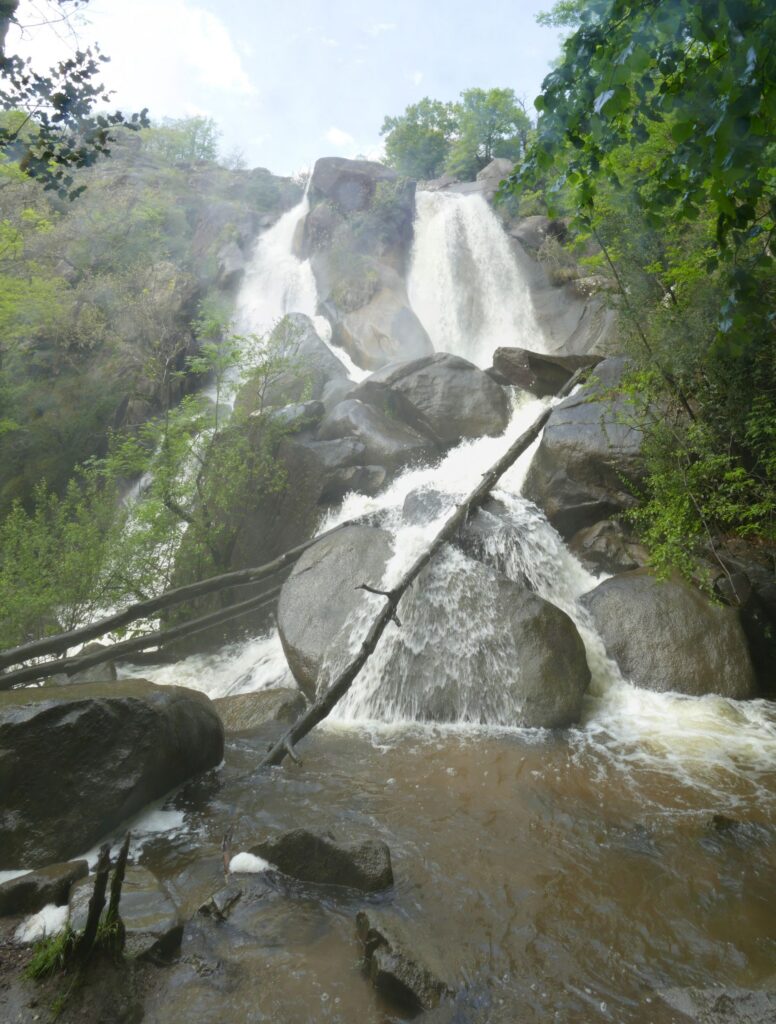 P1090194 P1090199 6 Images 1 776x1024