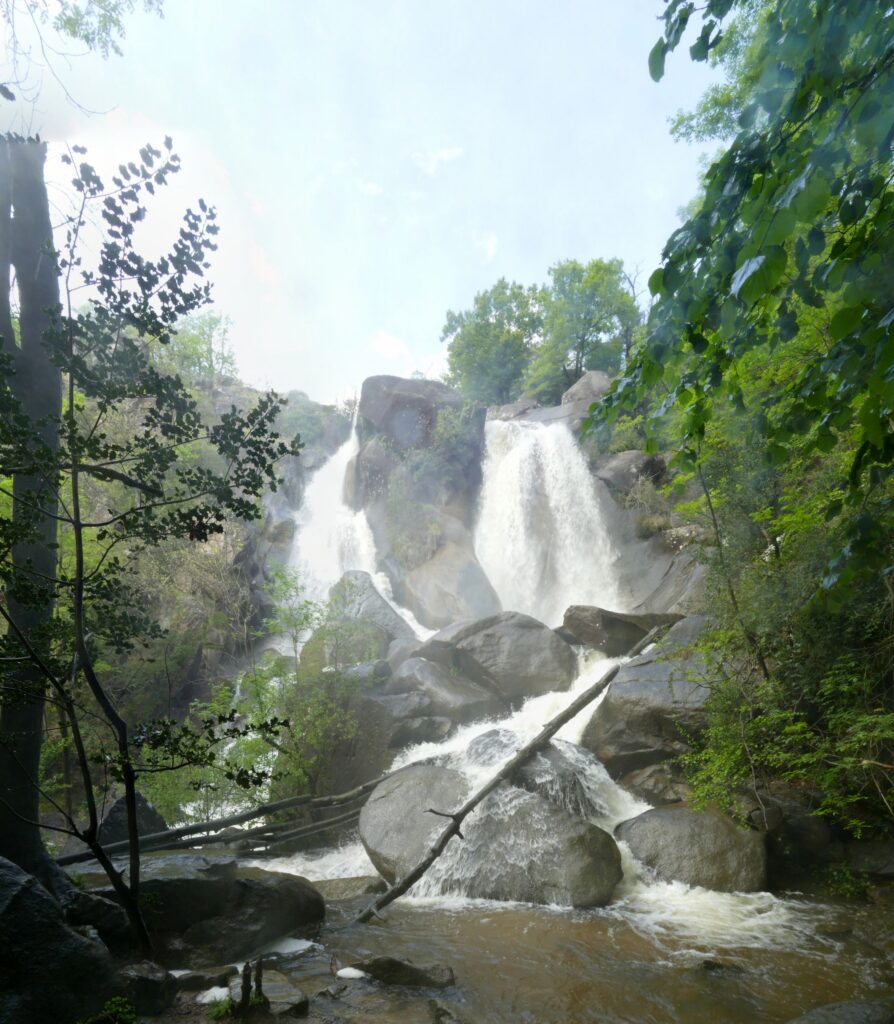 P1090194 P1090201 7 Images 1 894x1024