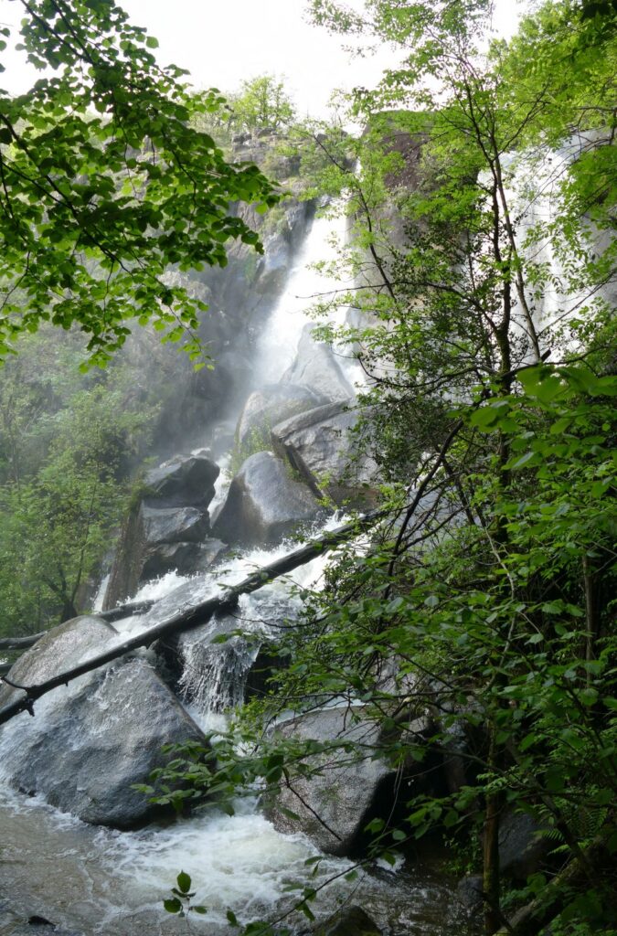 P1090206 P1090207 2 Images 1 675x1024