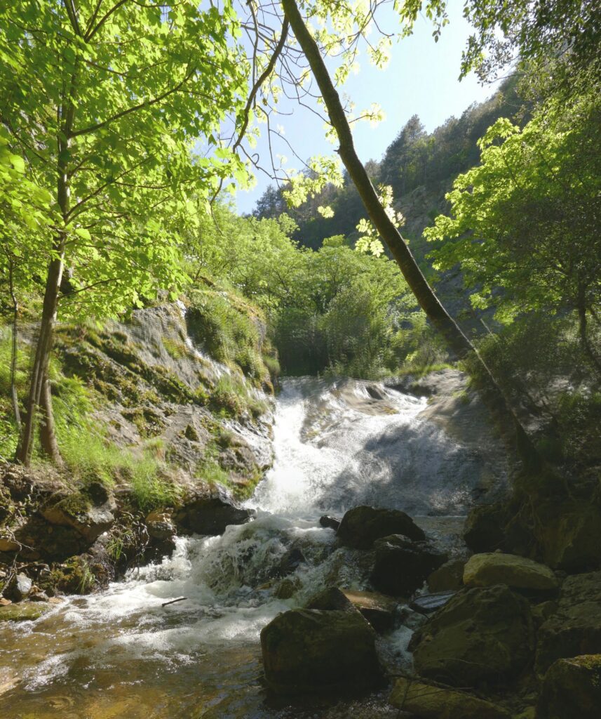 P1090292 P1090293 2 Images 1 857x1024