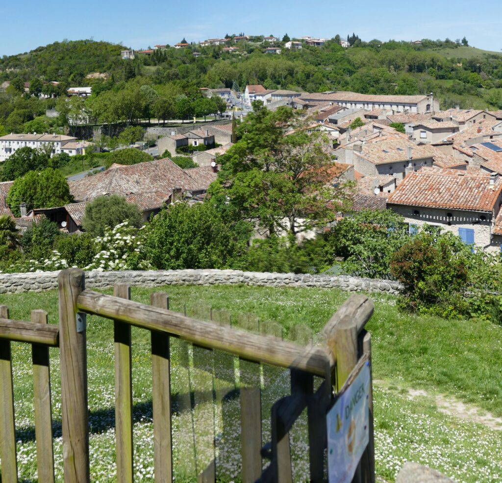 P1090341 P1090342 2 Images 1 1024x986