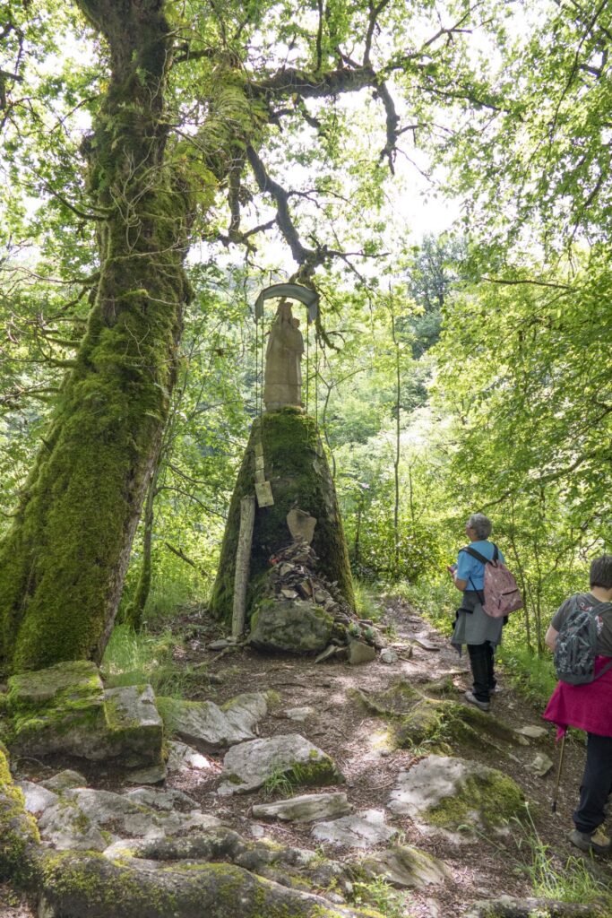 P1120422 1 1 683x1024