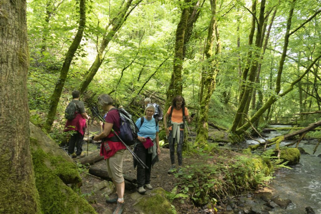 P1120424 1 1 1024x683