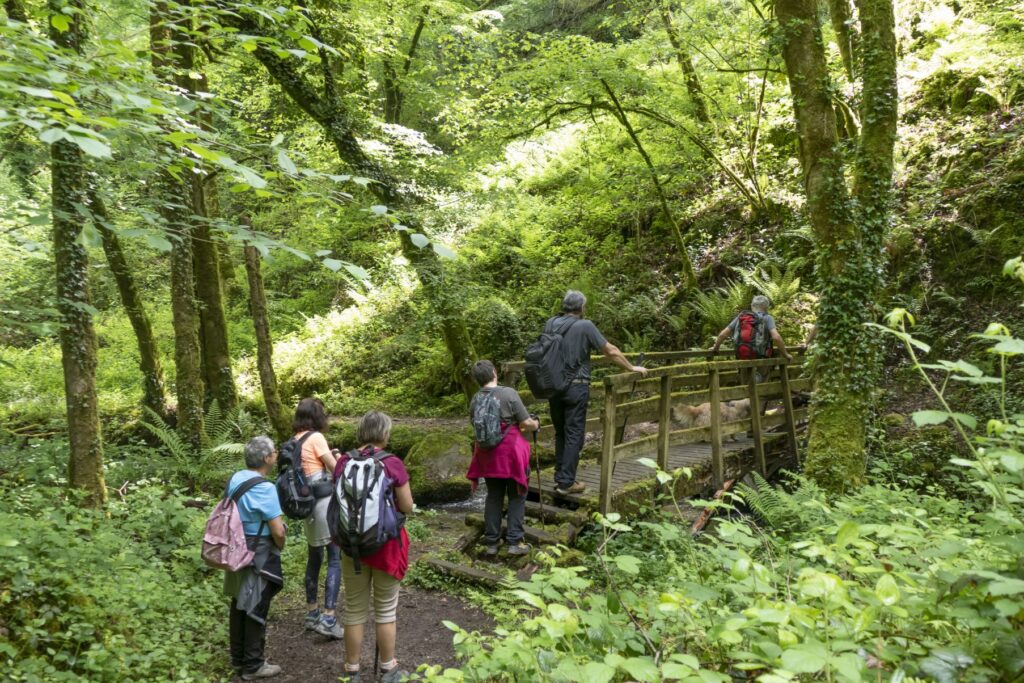 P1120431 1 1 1024x683