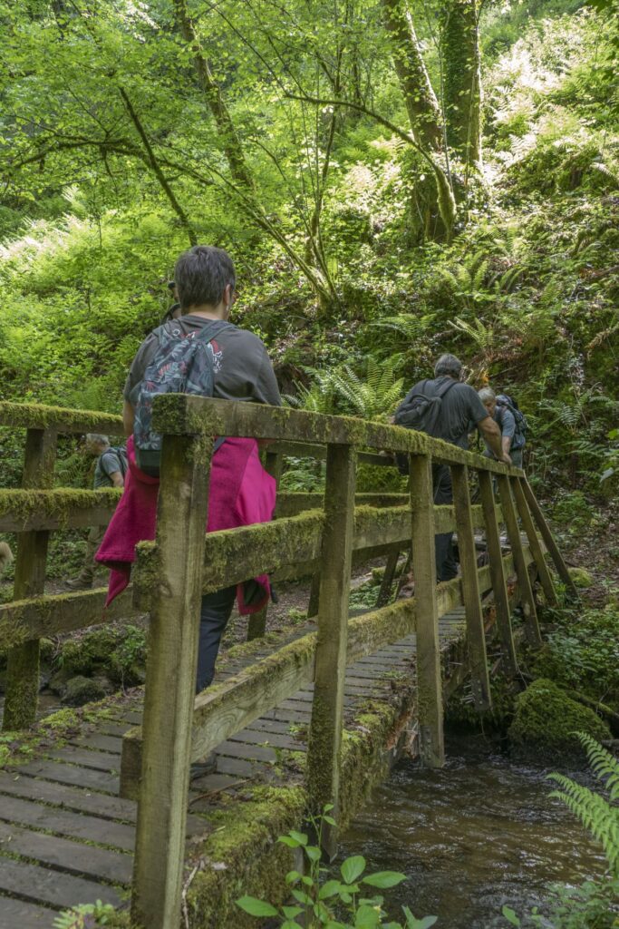 P1120432 1 1 683x1024