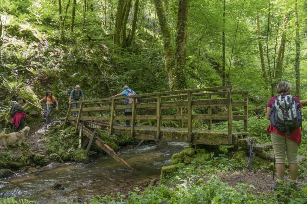 P1120434 1 1 1024x683