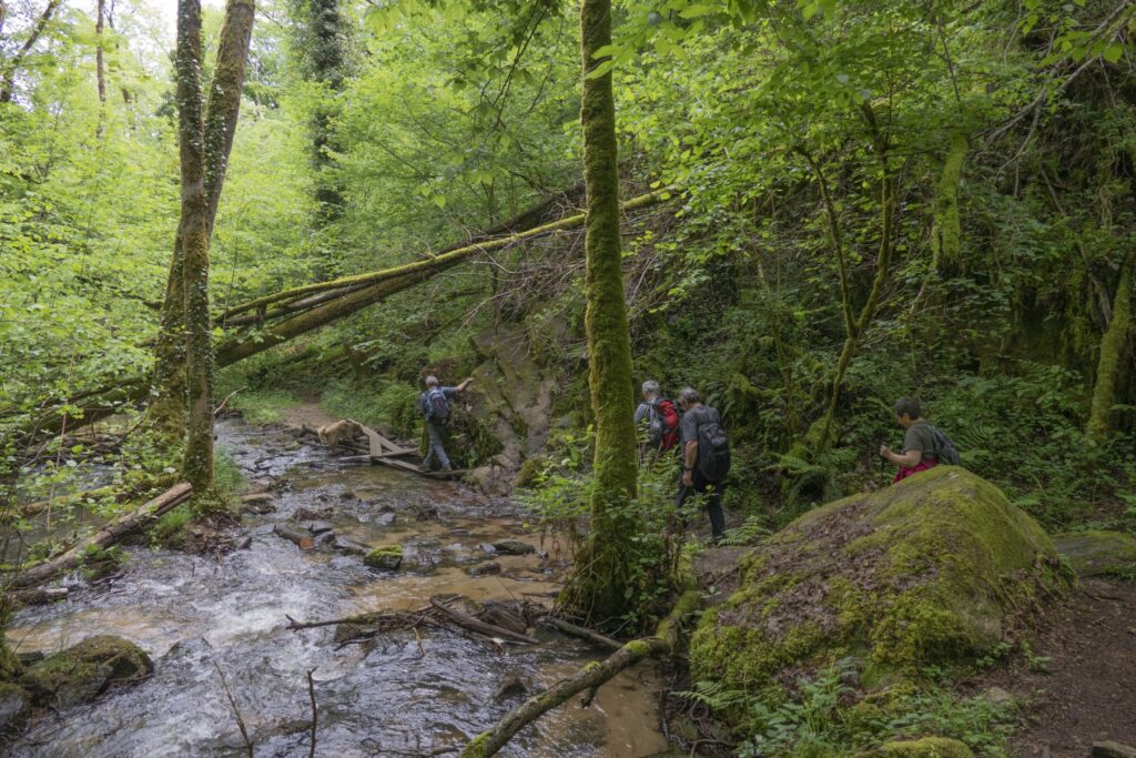 P1120436 1 1 1024x683