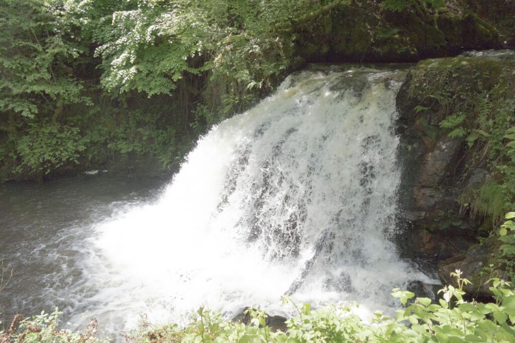 P1120440 1 1 1024x683