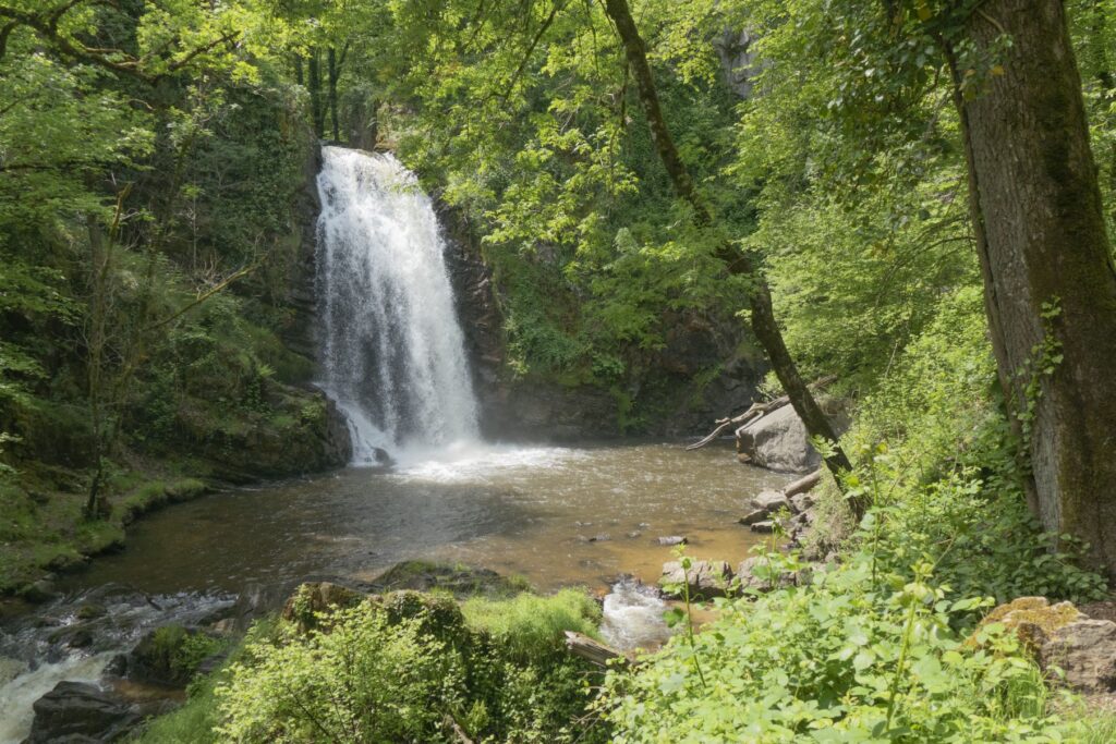 P1120452 1 1 1024x683