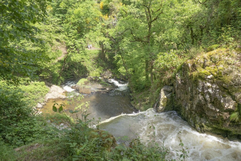 P1120474 1 1 1024x683