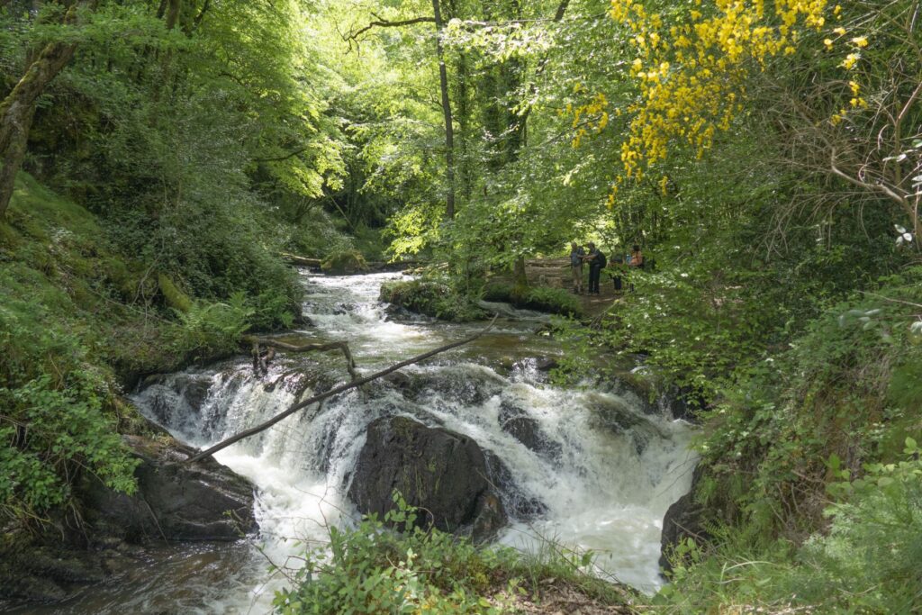 P1120476 1 1 1024x683