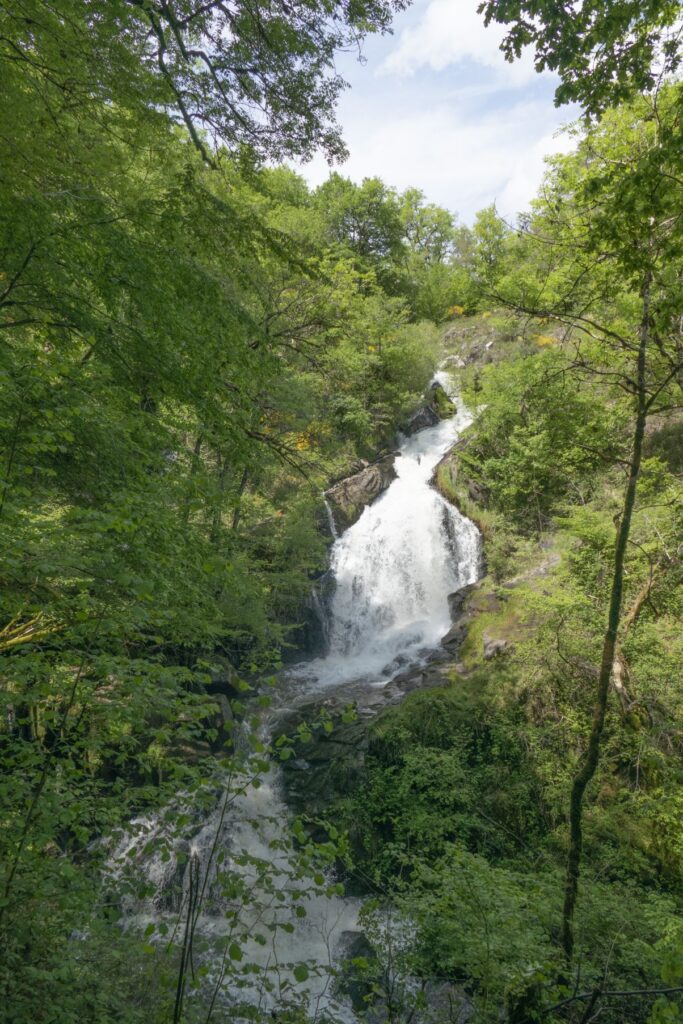 P1120485 1 1 683x1024