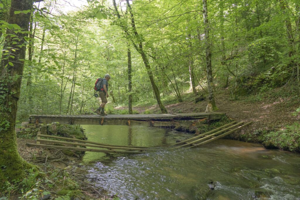 P1120496 1 1 1024x683