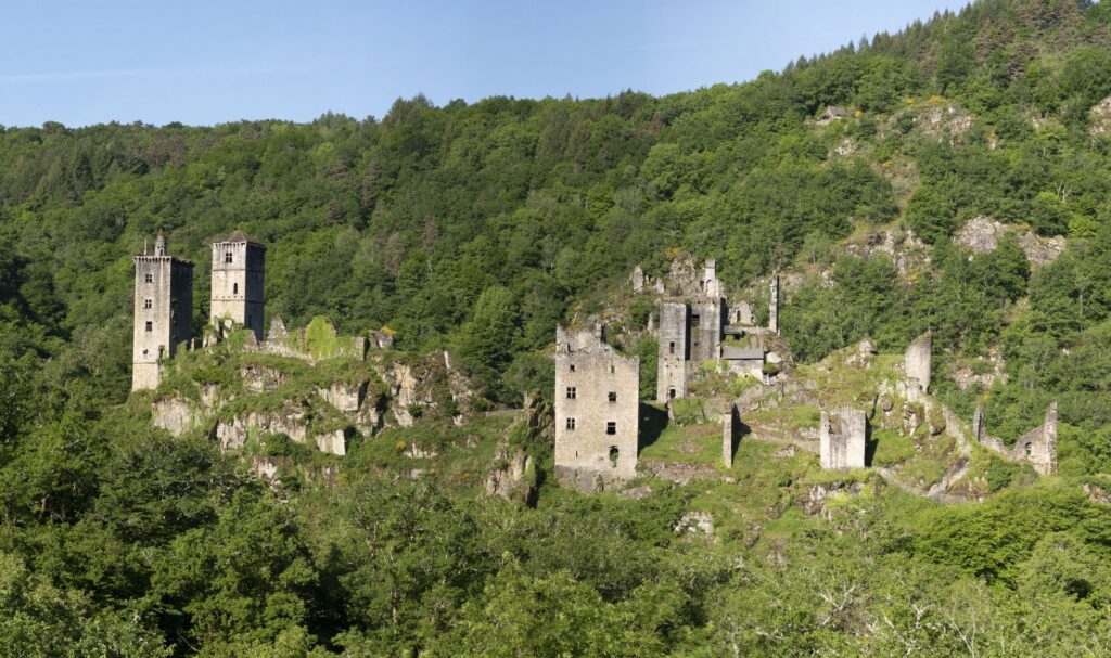 P1120501 1 P1120503 1 3 Images 1024x607