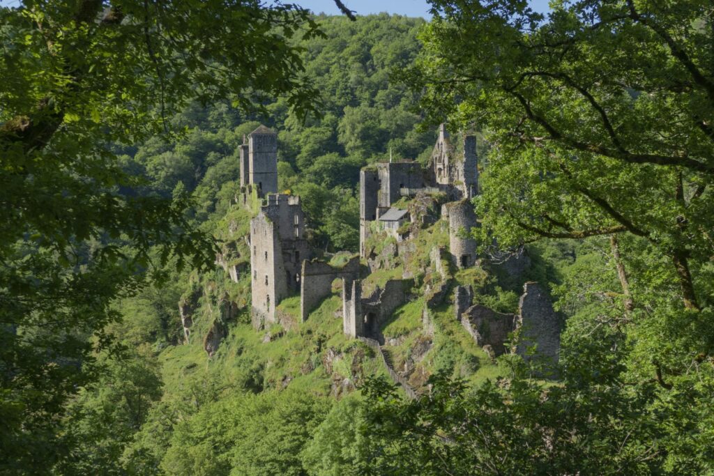 P1120507 1 1 1024x683