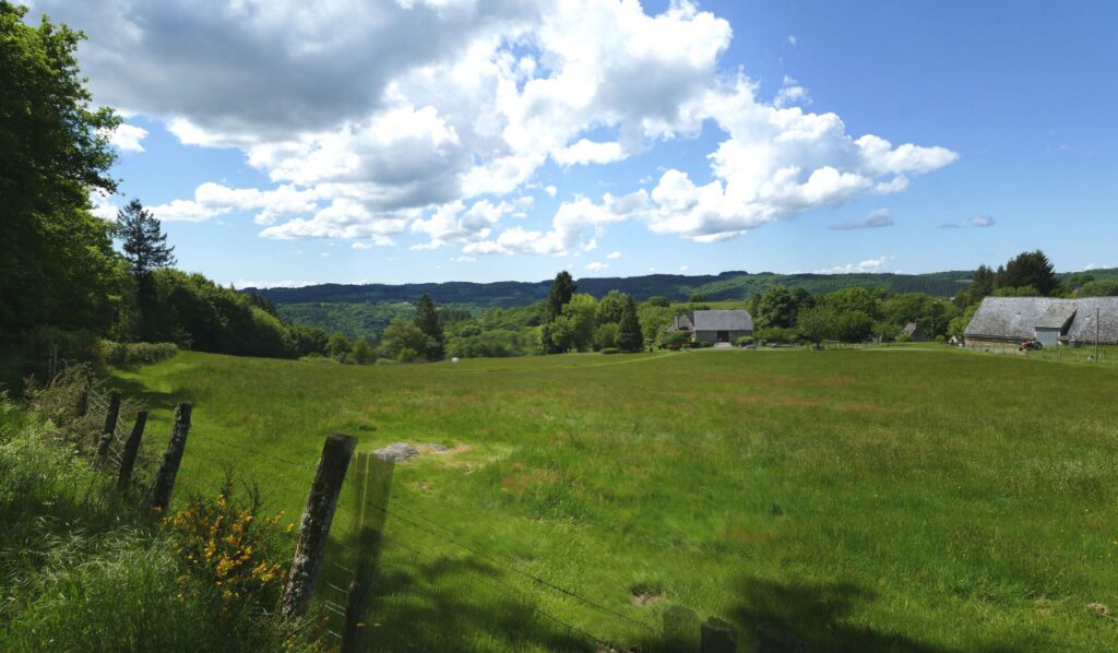 P1120529 P1120531 3 Images 1024x598