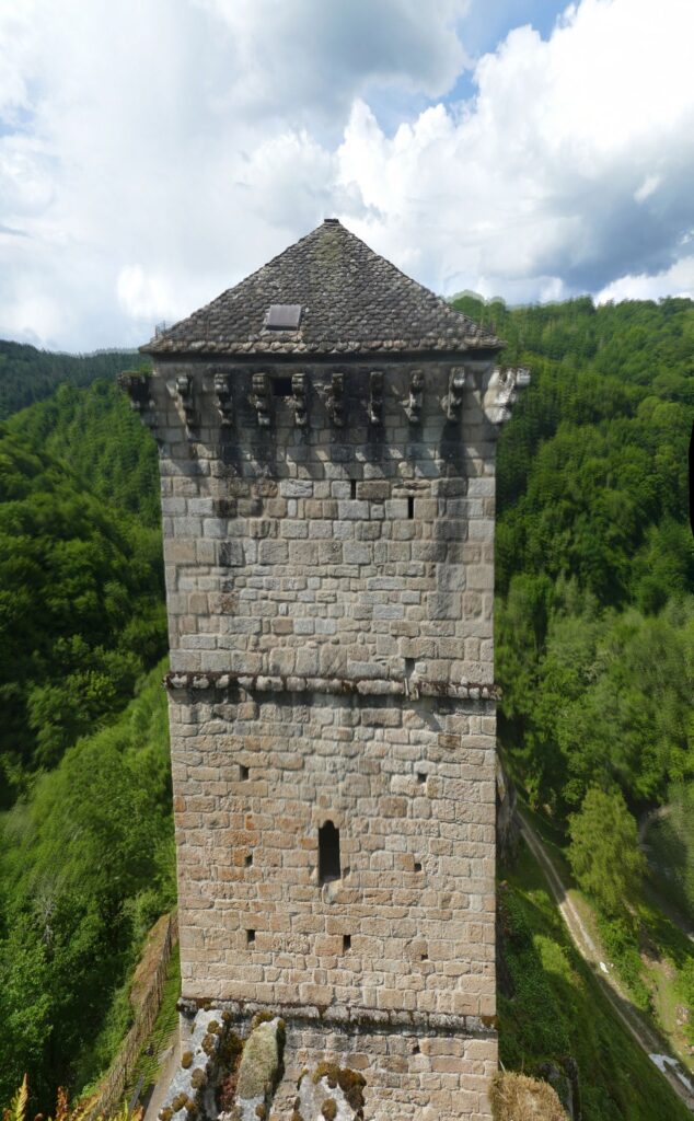 P1120596 P1120598 3 Images 634x1024