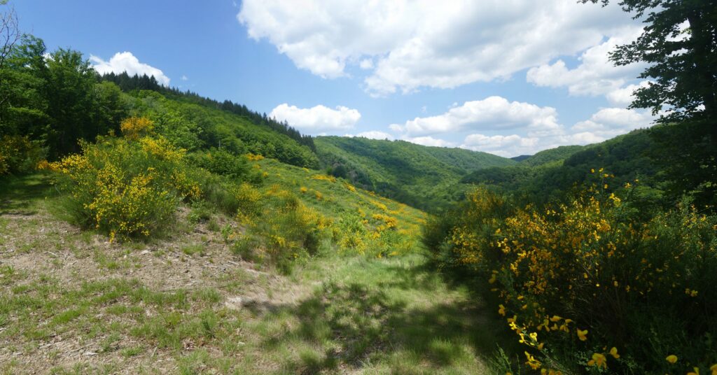 P1120637 P1120639 3 Images 1024x536