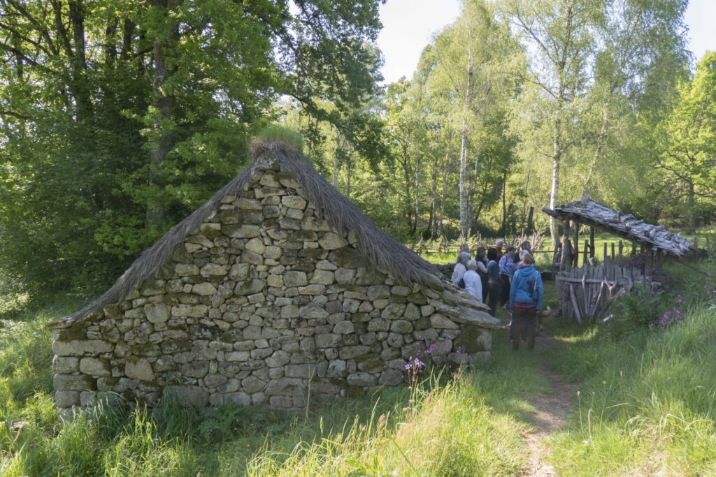 P1120687 1 1 1024x683