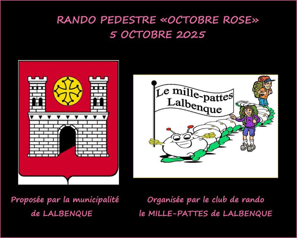 AFFICHE ORGANISATION MAIRIE MILLEPATTES 1024x819