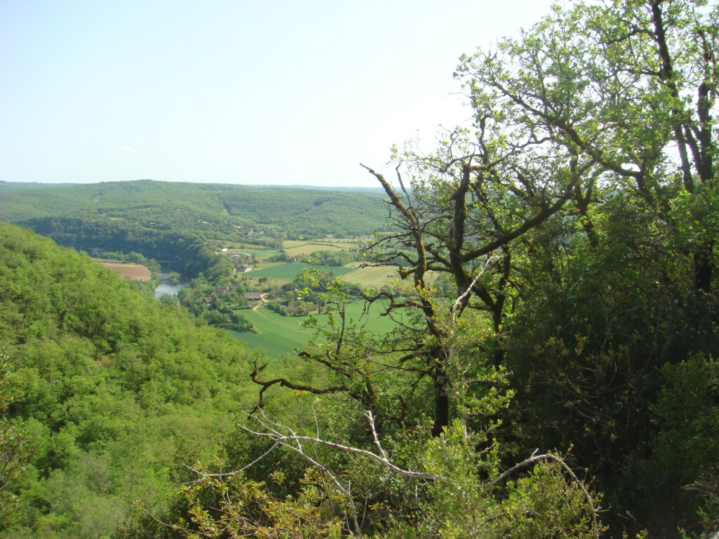 dsc03473