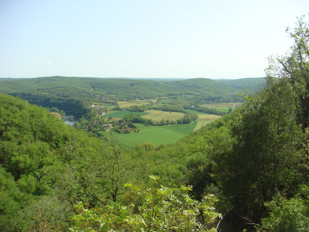 dsc03474