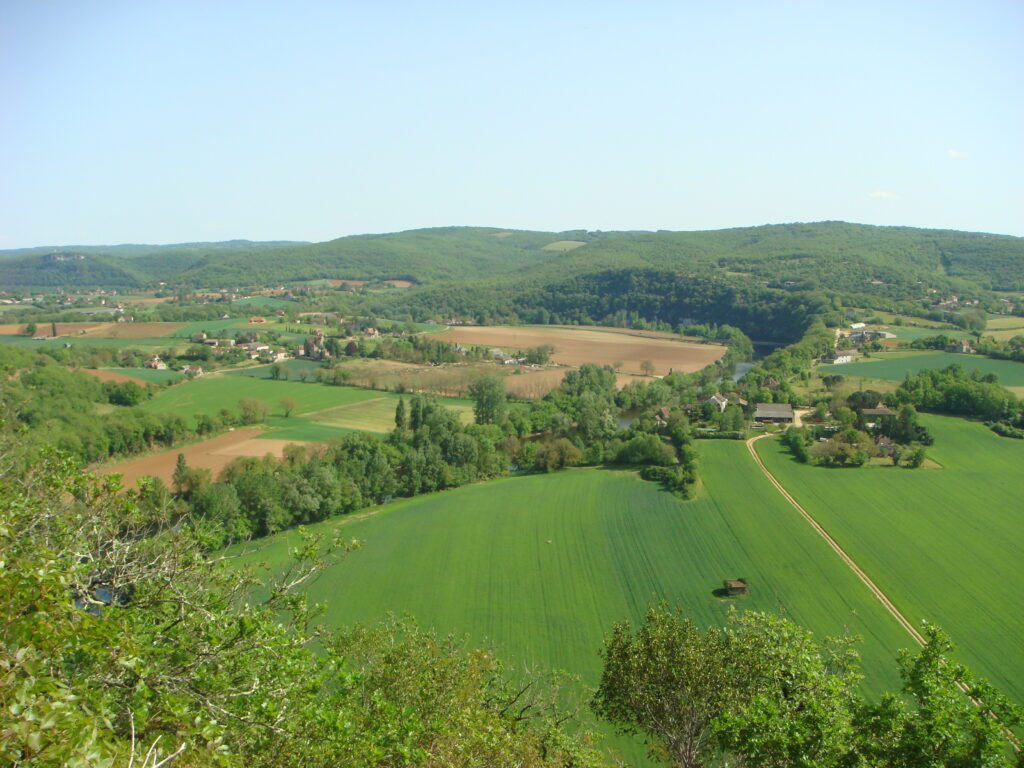 dsc03477