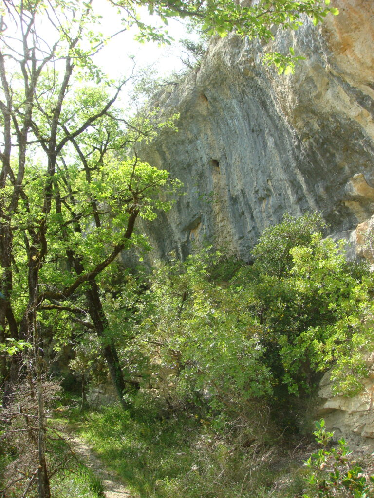 dsc03481