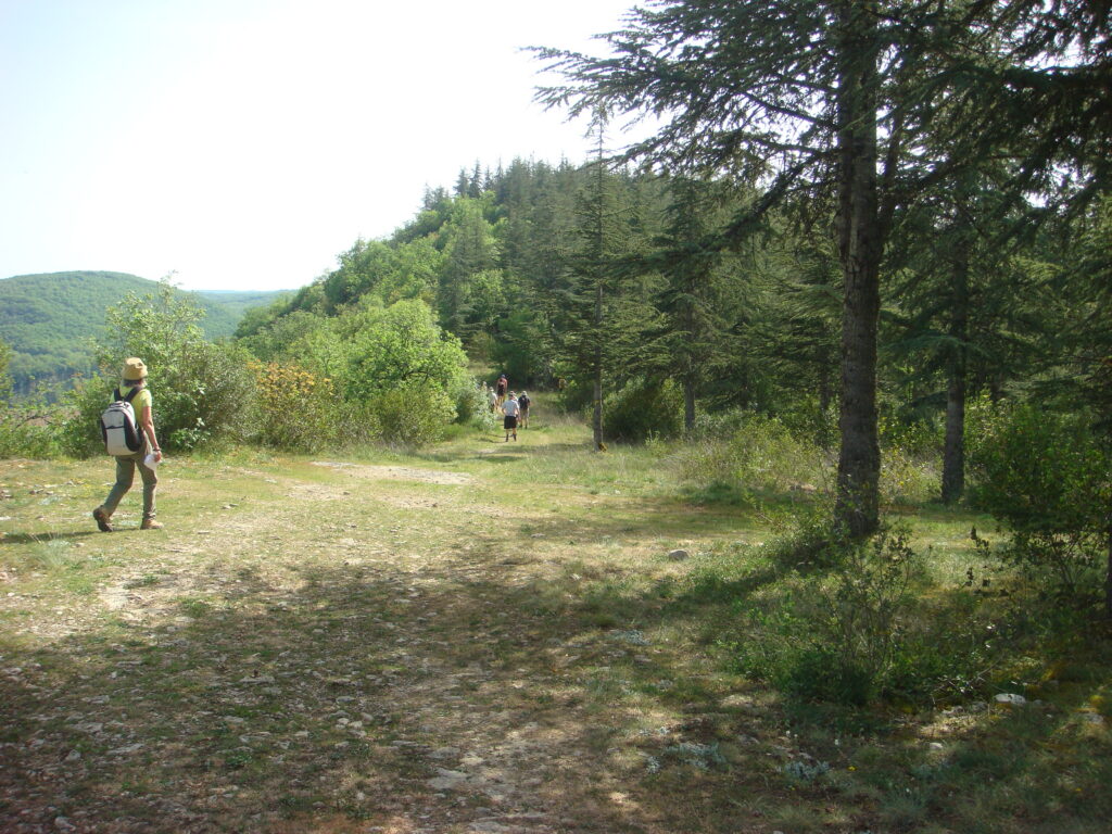 dsc03486