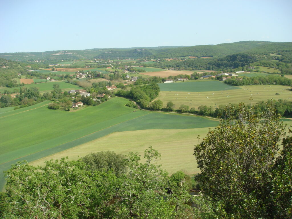 dsc03487