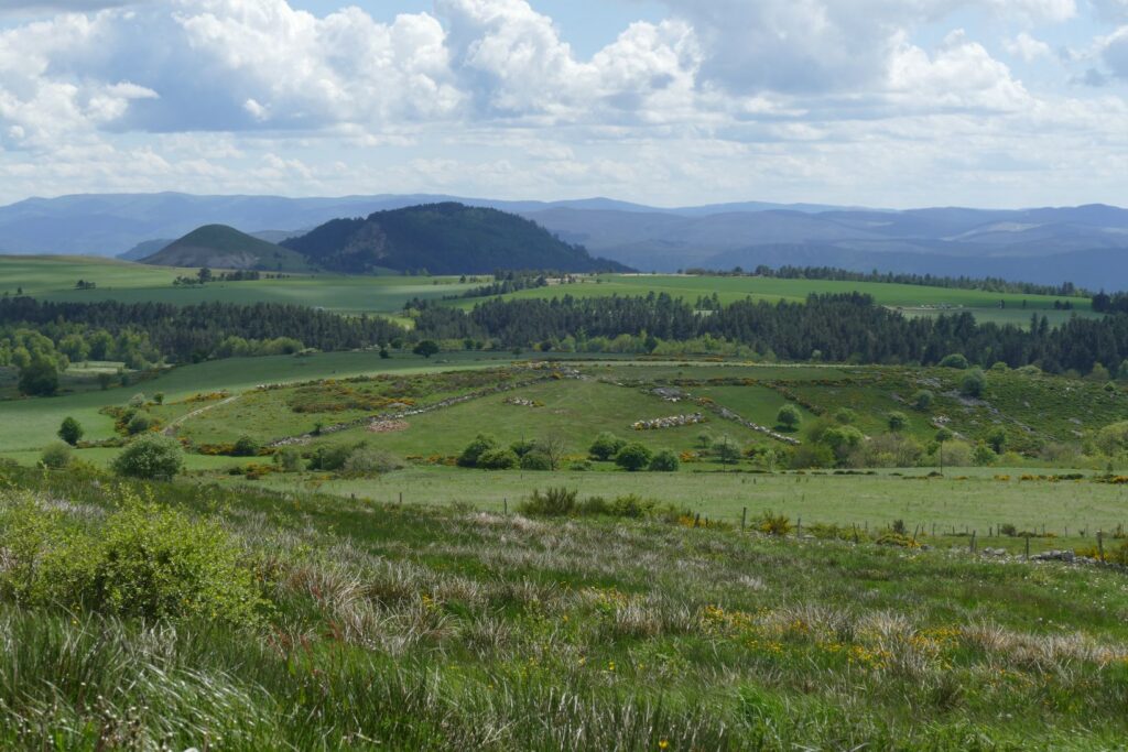 p1150528