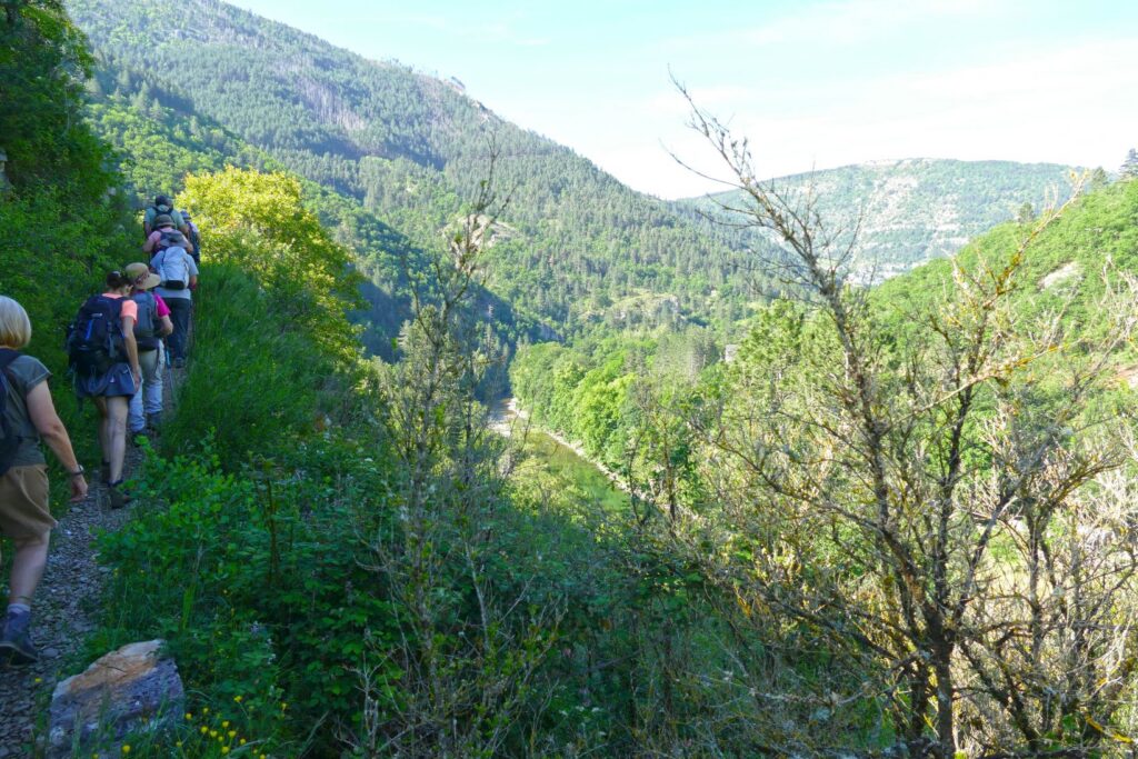 p1150579