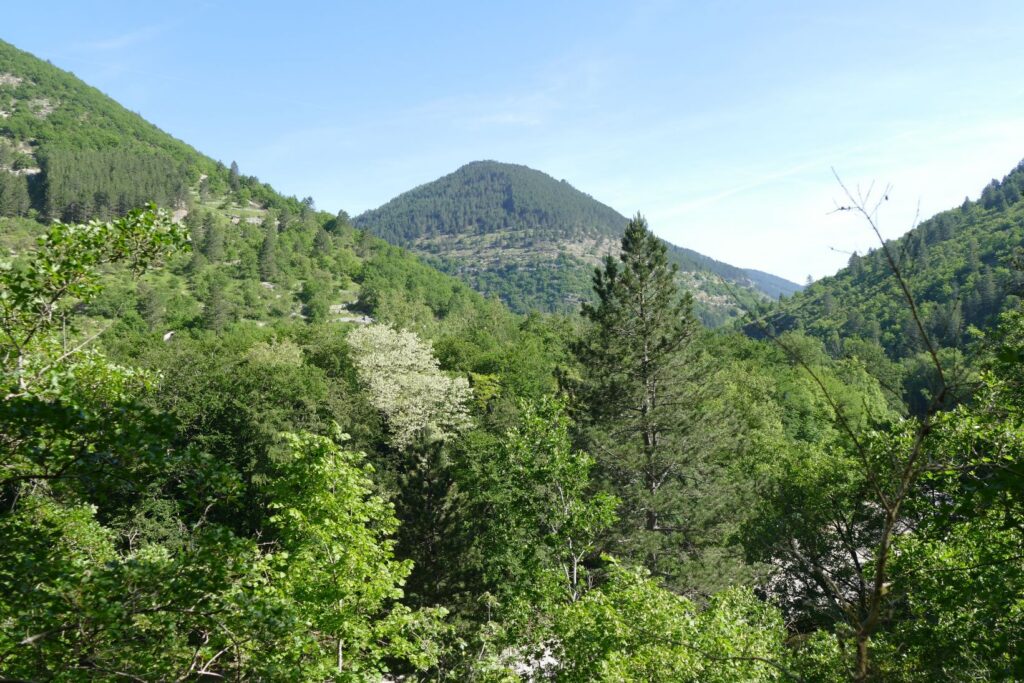 p1150584