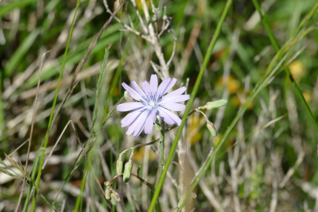 p1150595