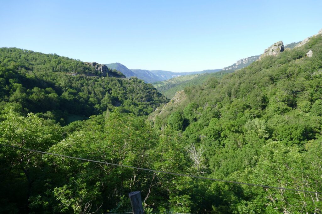 p1150640
