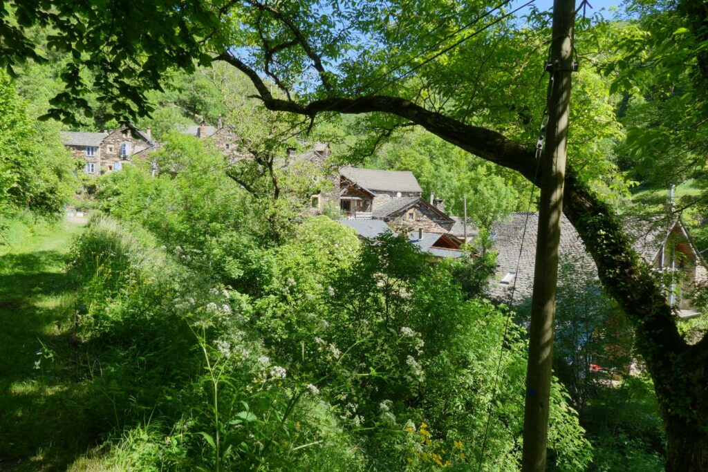 p1150659