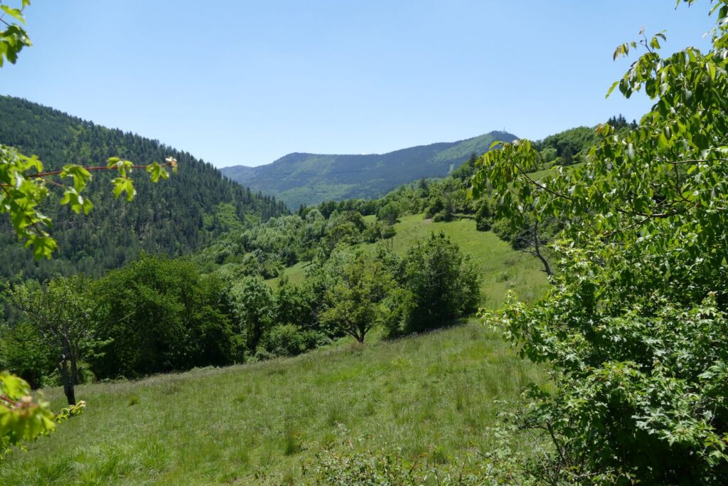 p1150671