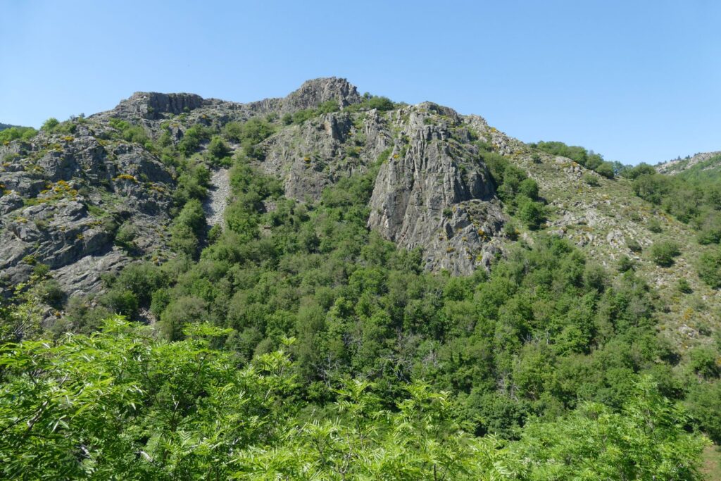 p1150684