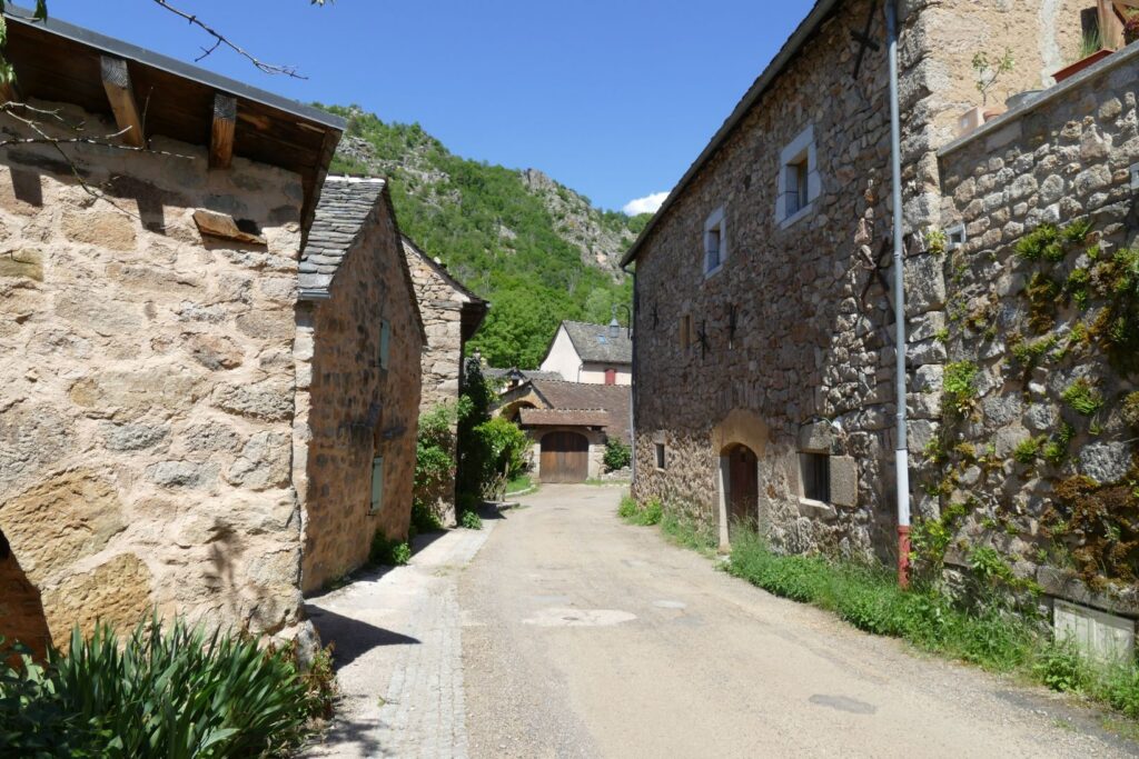 p1150686