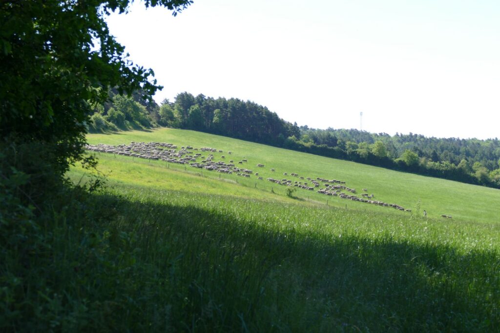 p1150690