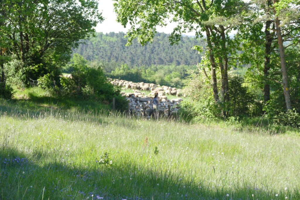 p1150693