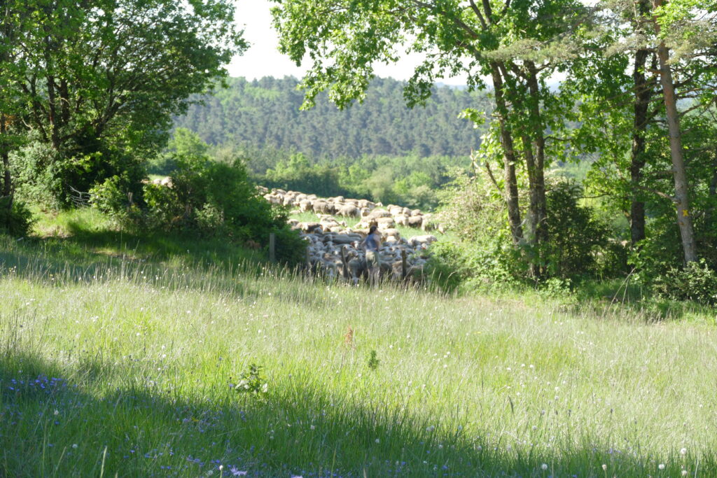 p1150693