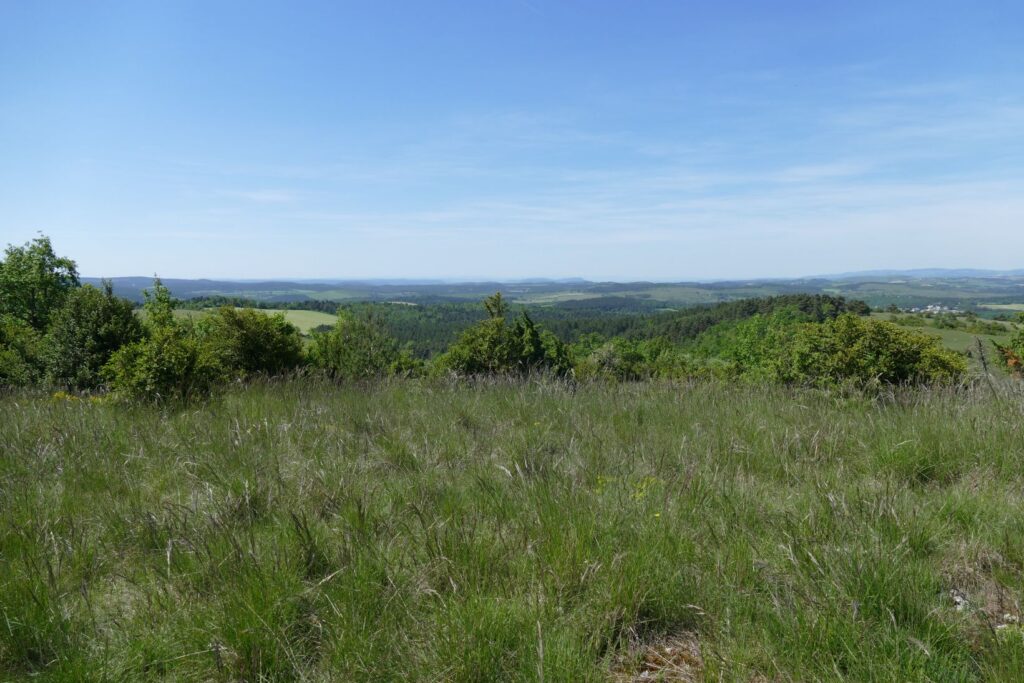 p1150699