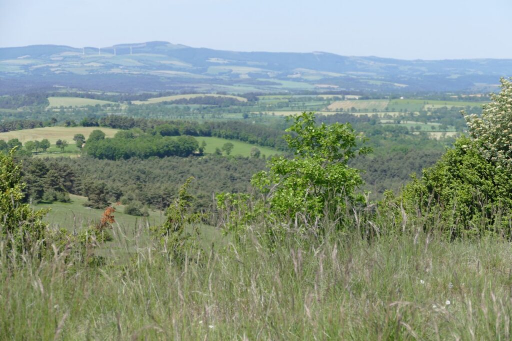p1150700